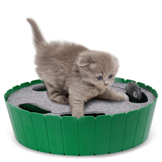 Interactive Cat Toy with Running Mouse