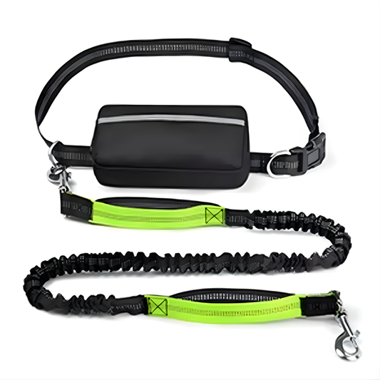 Hands-Free Reflective Dog Leash
