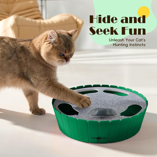 Interactive Cat Toy with Running Mouse
