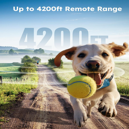 Dog Shock Collar - 4200FT